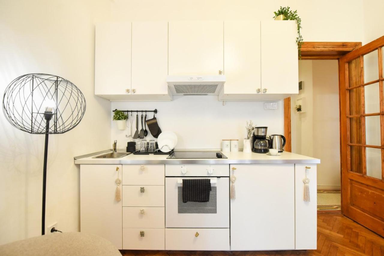 Vintage Elegance, Modern Comfort: 1Br Apartment Overlooking Calea Victoriei Bucarest Exterior foto